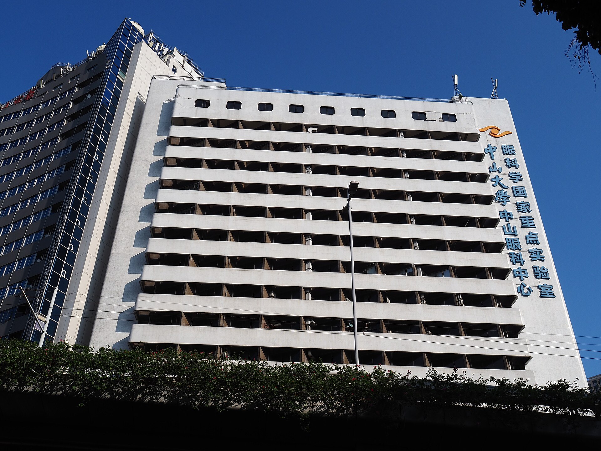Zhongshan Ophthalmic Center, Sun Yat-sen University (中山大学中山眼科中心)